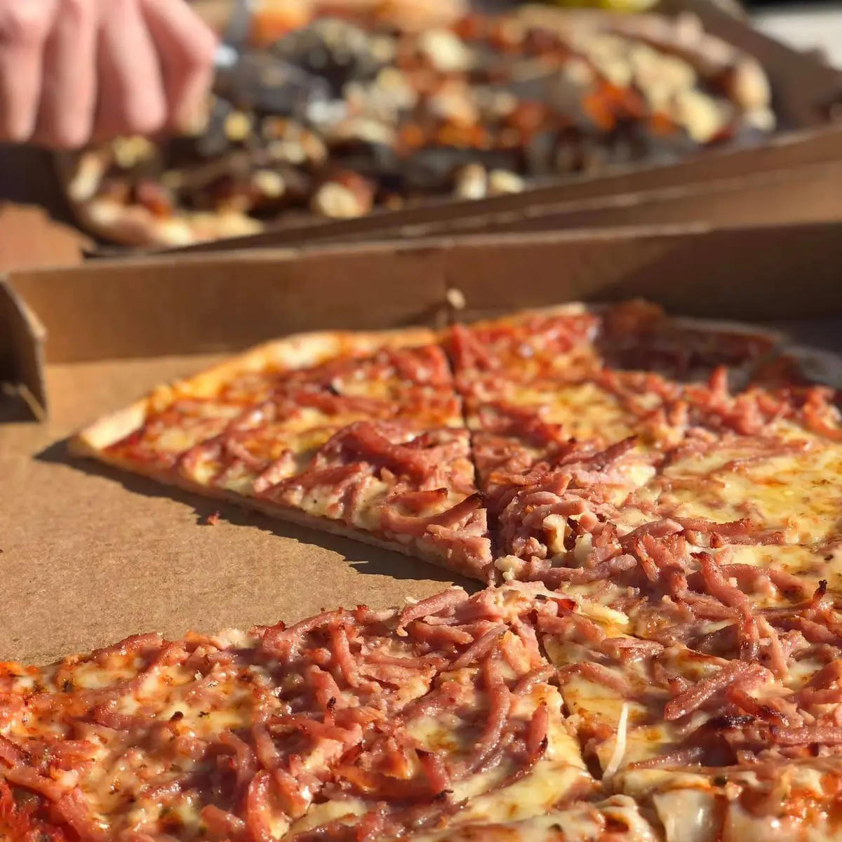 Hedvigsborgs Pizzeria
