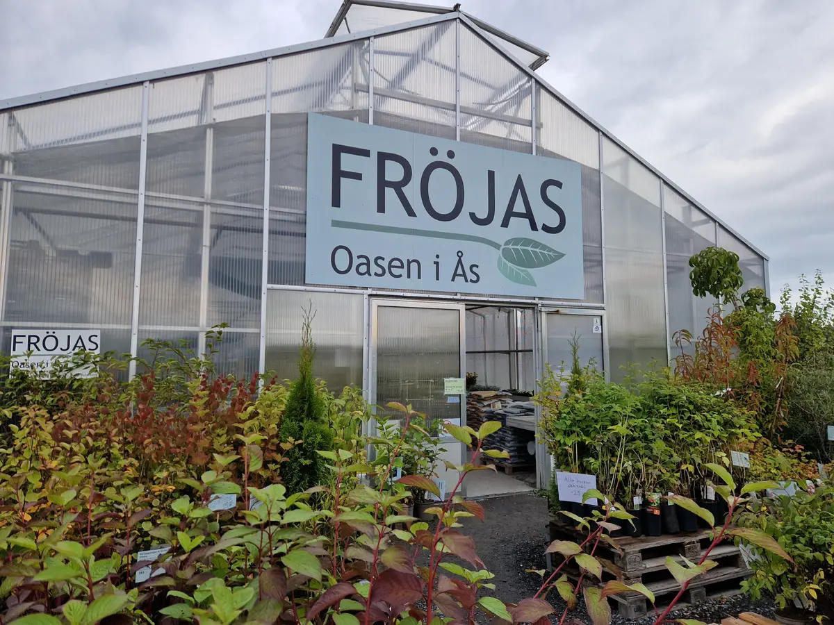 Fröjas