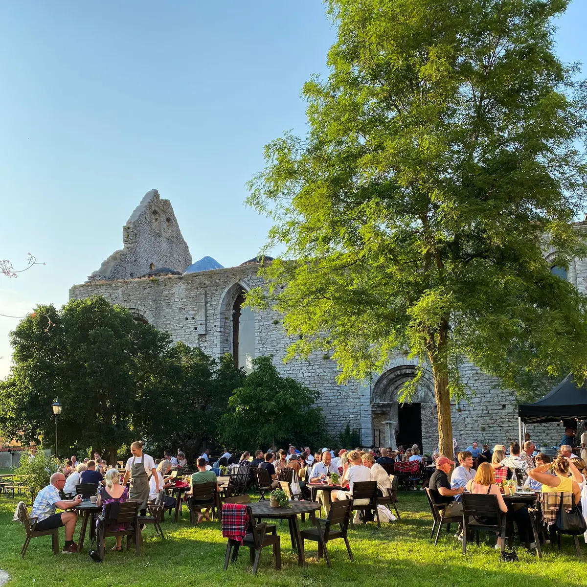 Frimis Visby