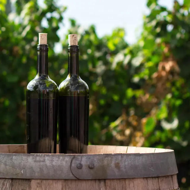 Vin & Passion