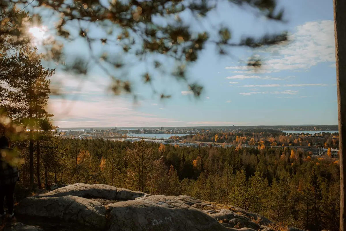 Luleå Konfektyr