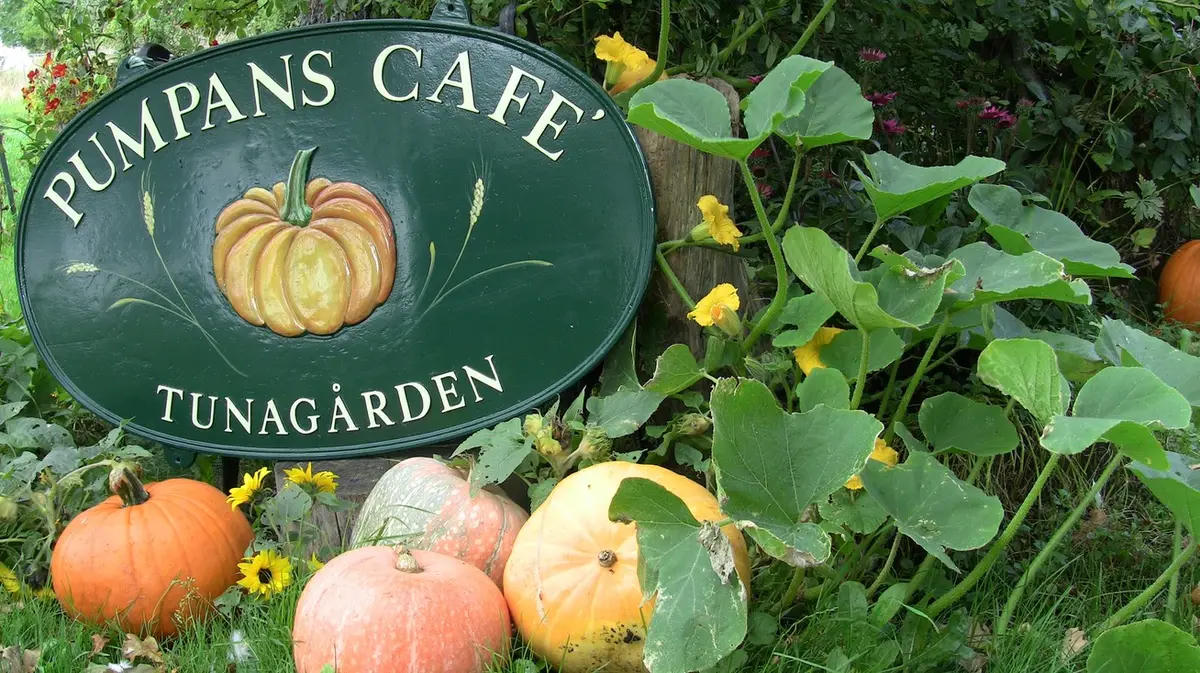 Pumpans Café