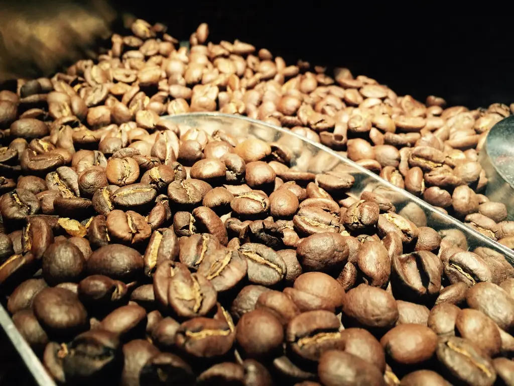 Oaxen Kafferosteri