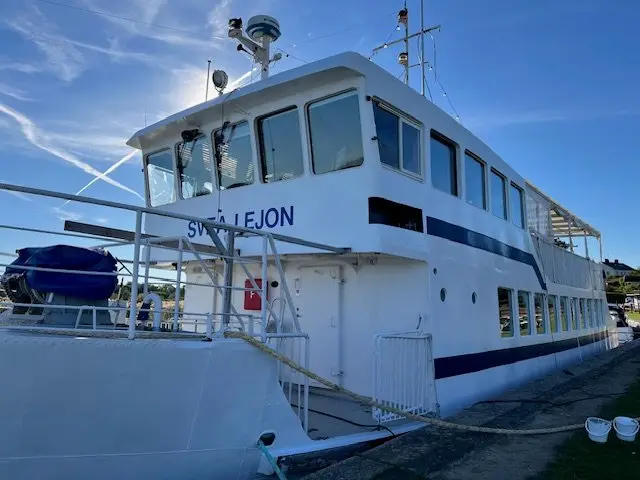 Saga Lejon