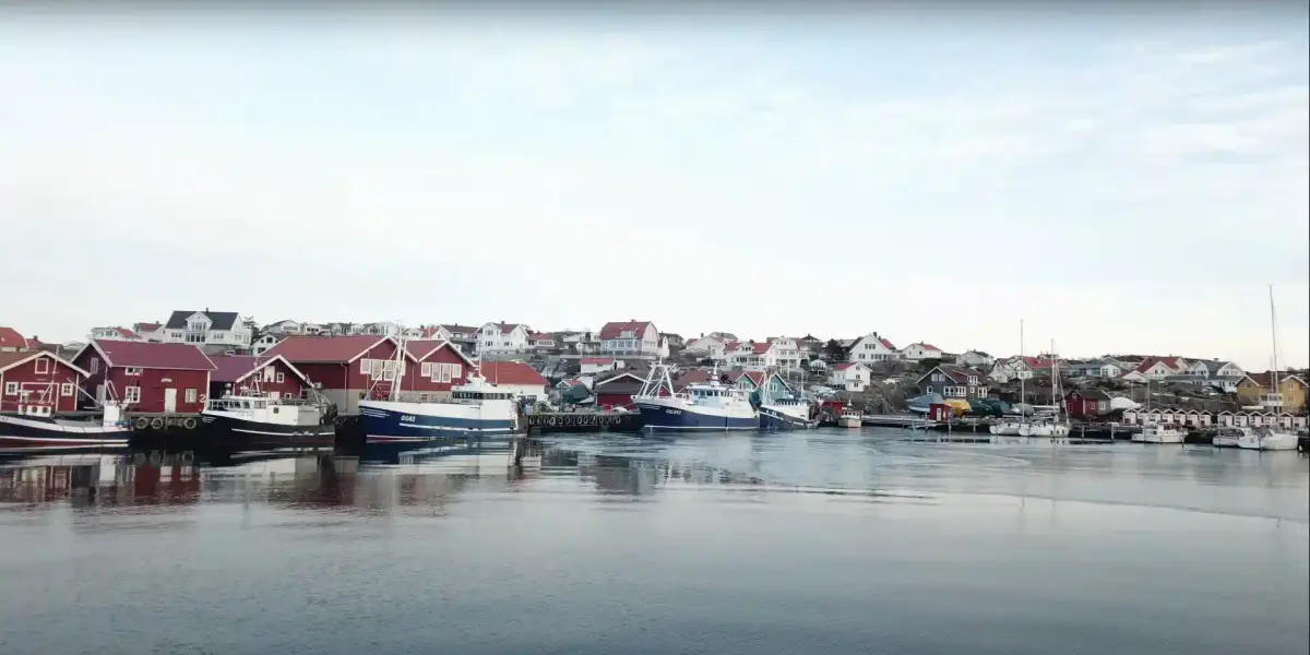 Björkö Seafood