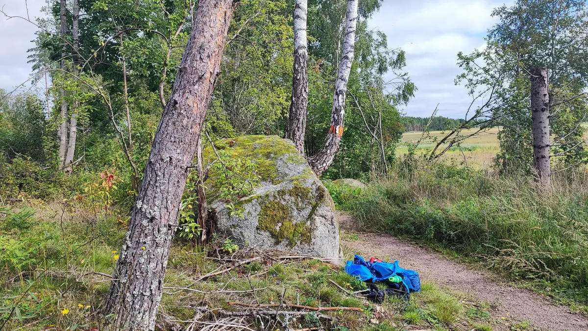 Bruksleden